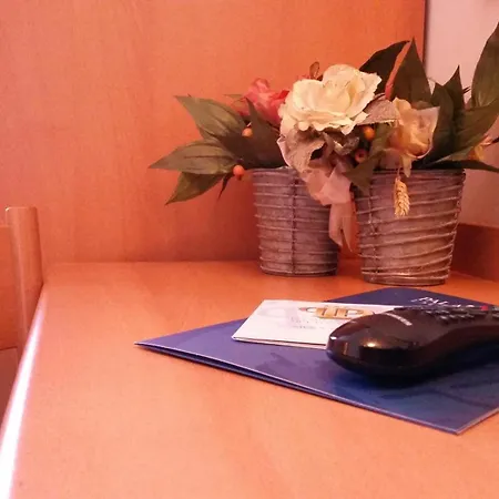 Hotel Palace Due Ponti Sienne